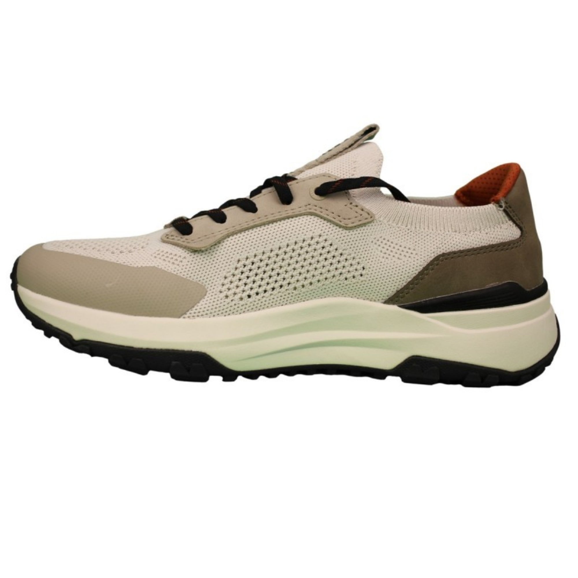 Beige and brown sneaker on a white background