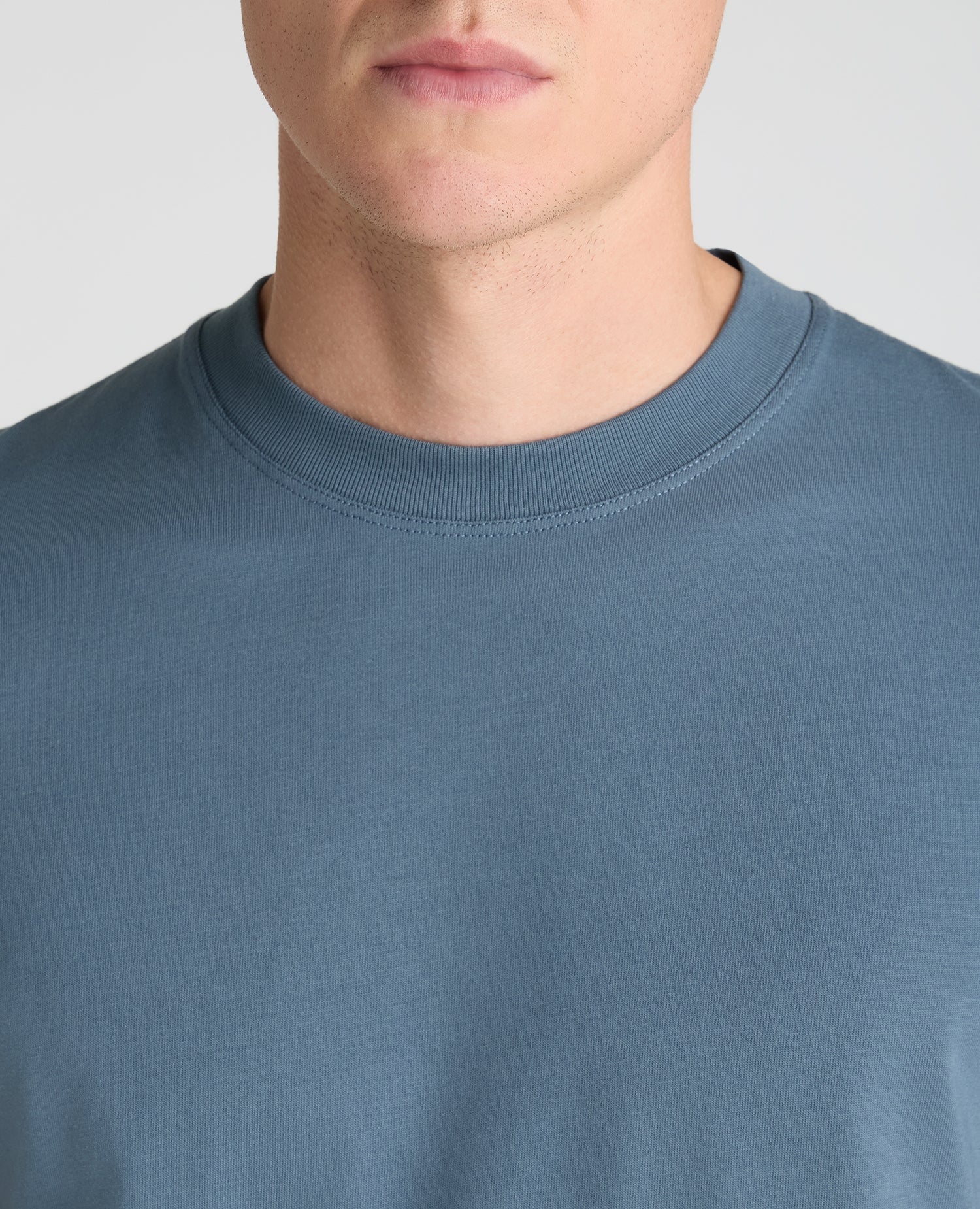 Remus Uomo Organic Cotton T-Shirt 58810 in Blue