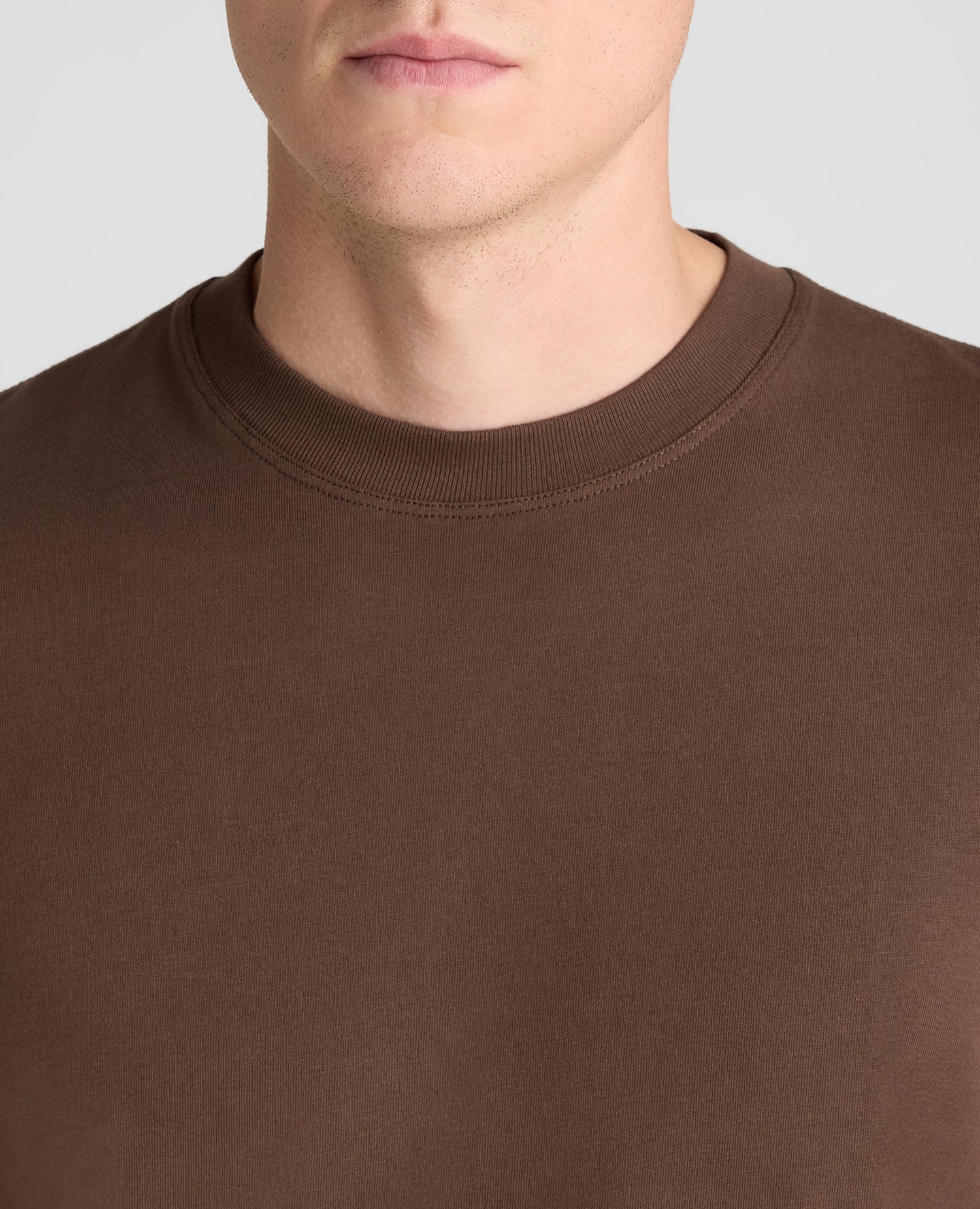 Remus Uomo Organic Cotton T-Shirt 58810 in Brown