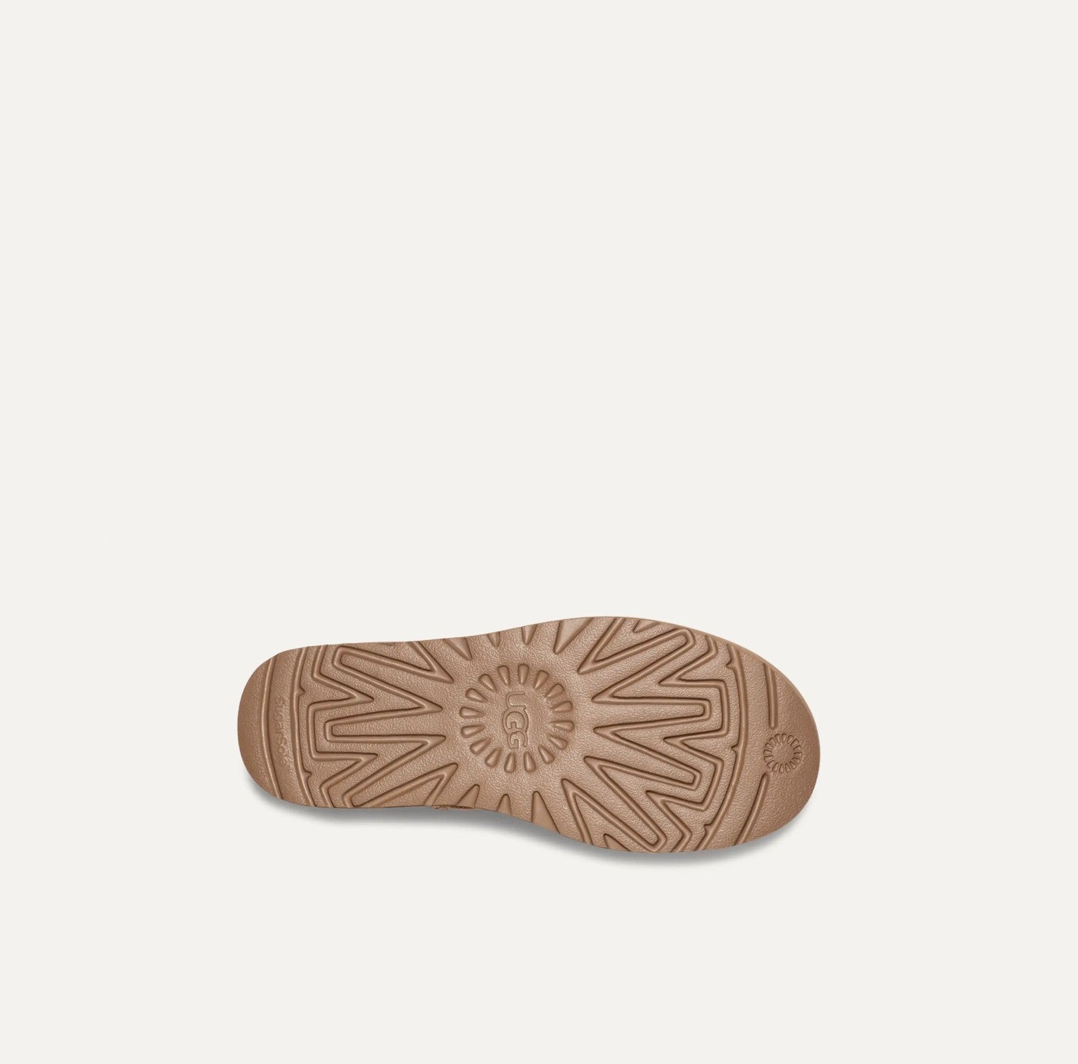 Close-up of a brown sole with a pattern on a light gray background