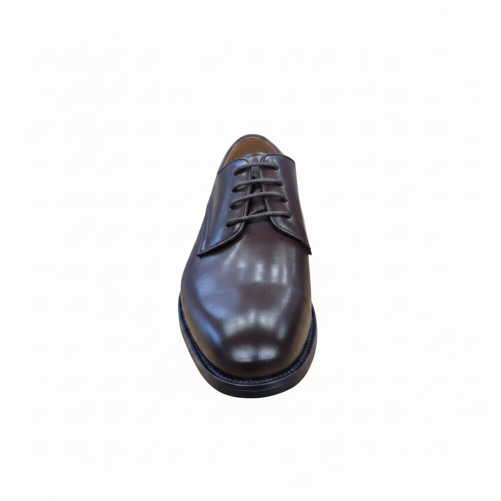 Brown leather shoe on a white background