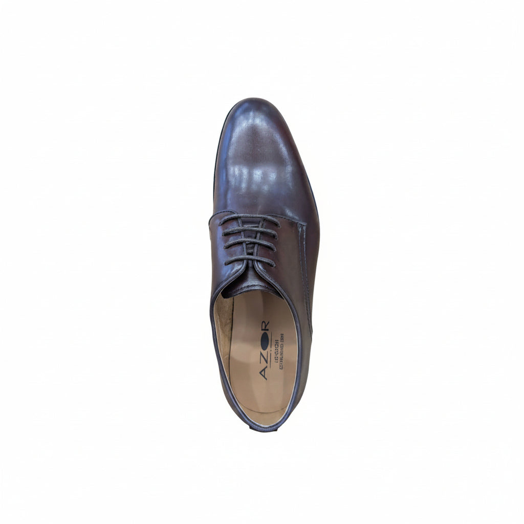Azor Antonio Derby Formal Shoe in Chestnut Brown ZM3933