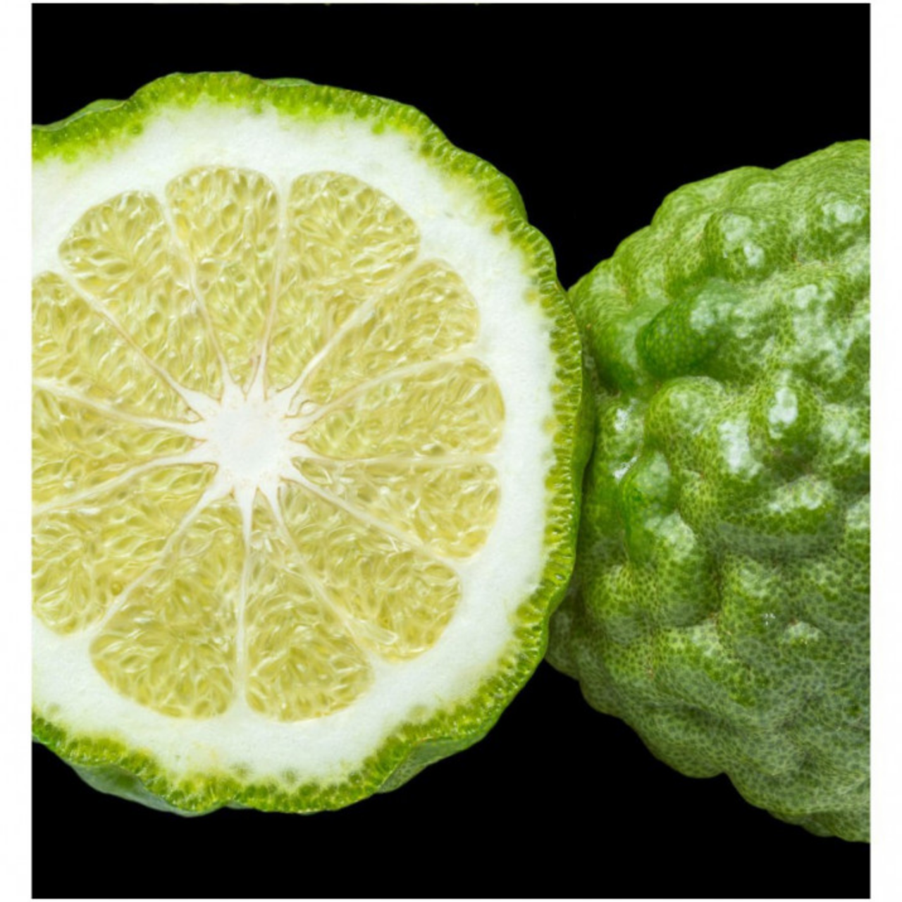 YODEYMA CARIBBEAN EAU DE PARFUM 15ML - DIOR SAUVAGE ALTERNATIVE