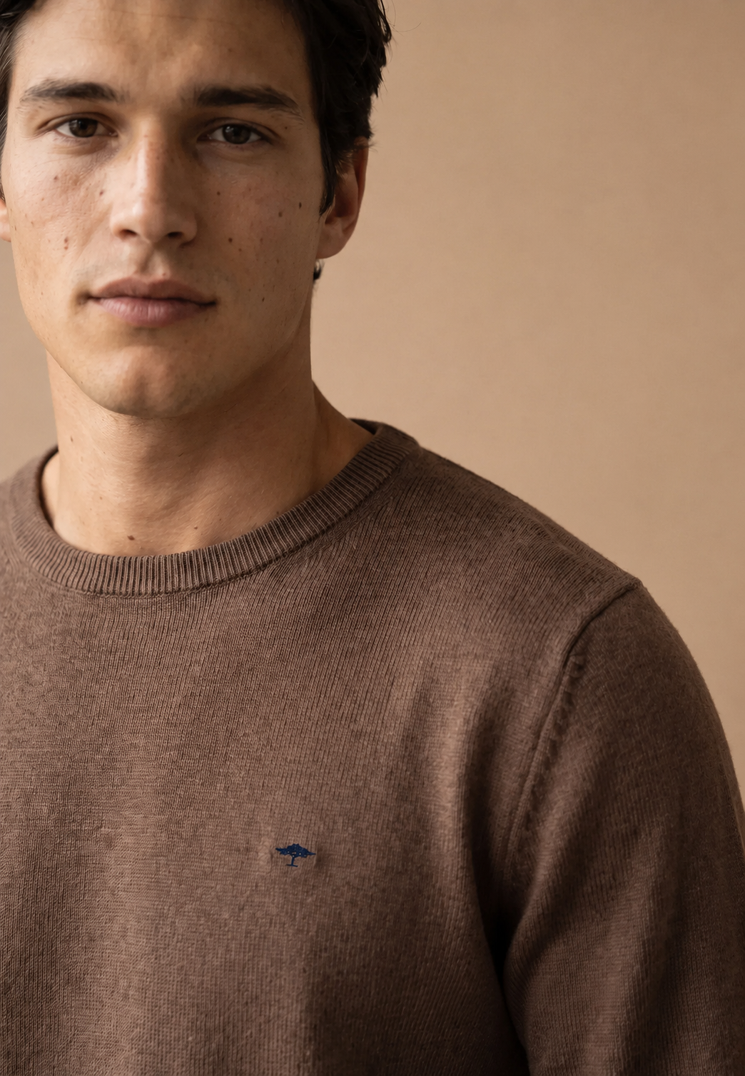 Fynch-Hatton Superfine Crew Sweater in Brown
