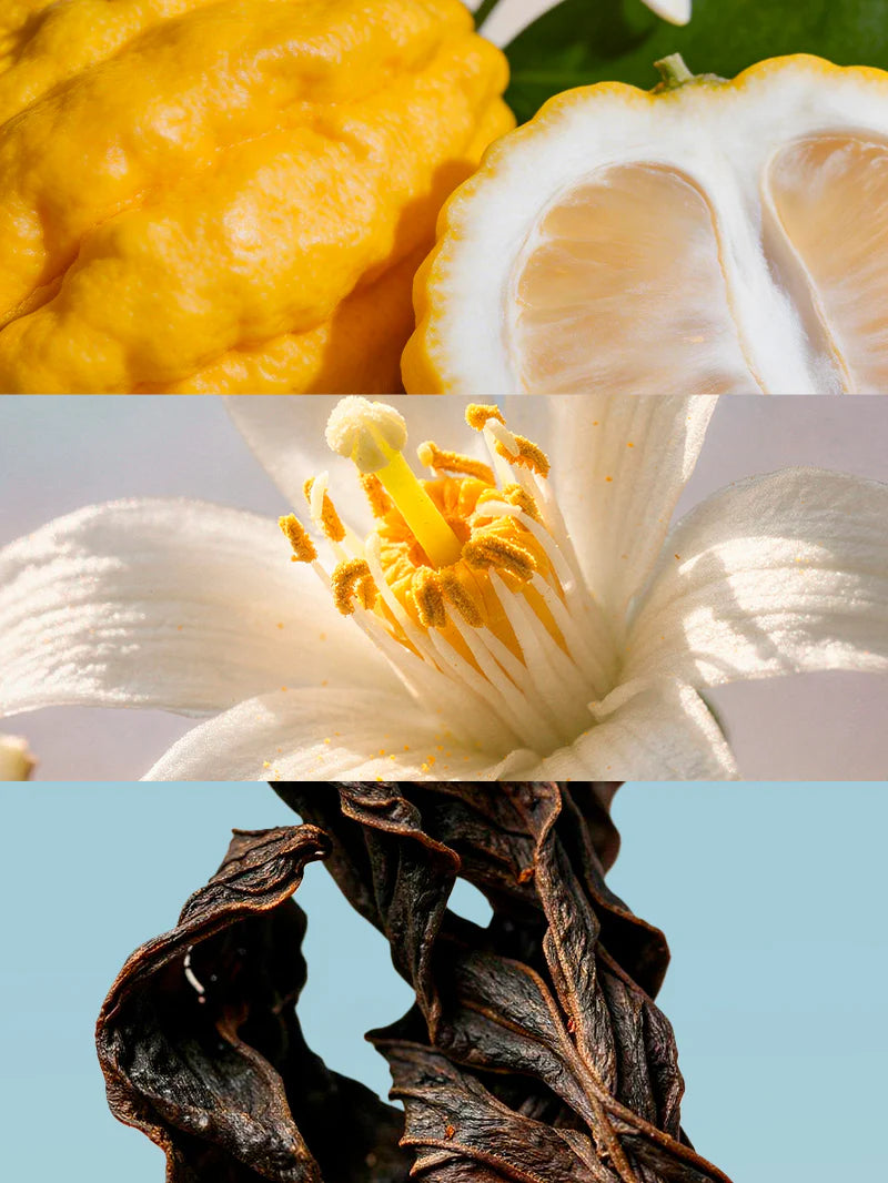 Yodeyma Nº 135 Eau De Parfum 100ml Inspired by Imagination