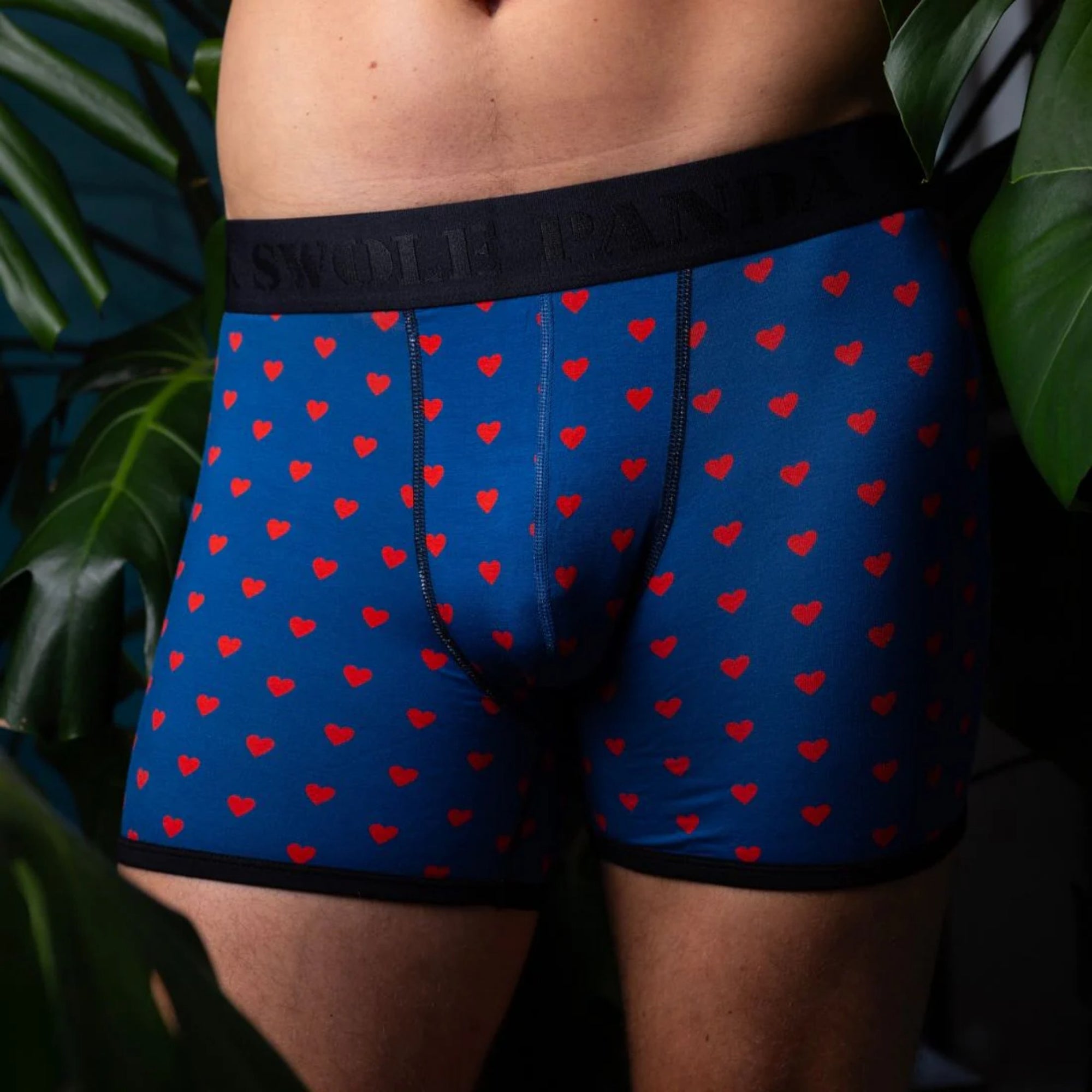 Blue boxer briefs with red heart pattern worn by a person, surrounded by green plants.