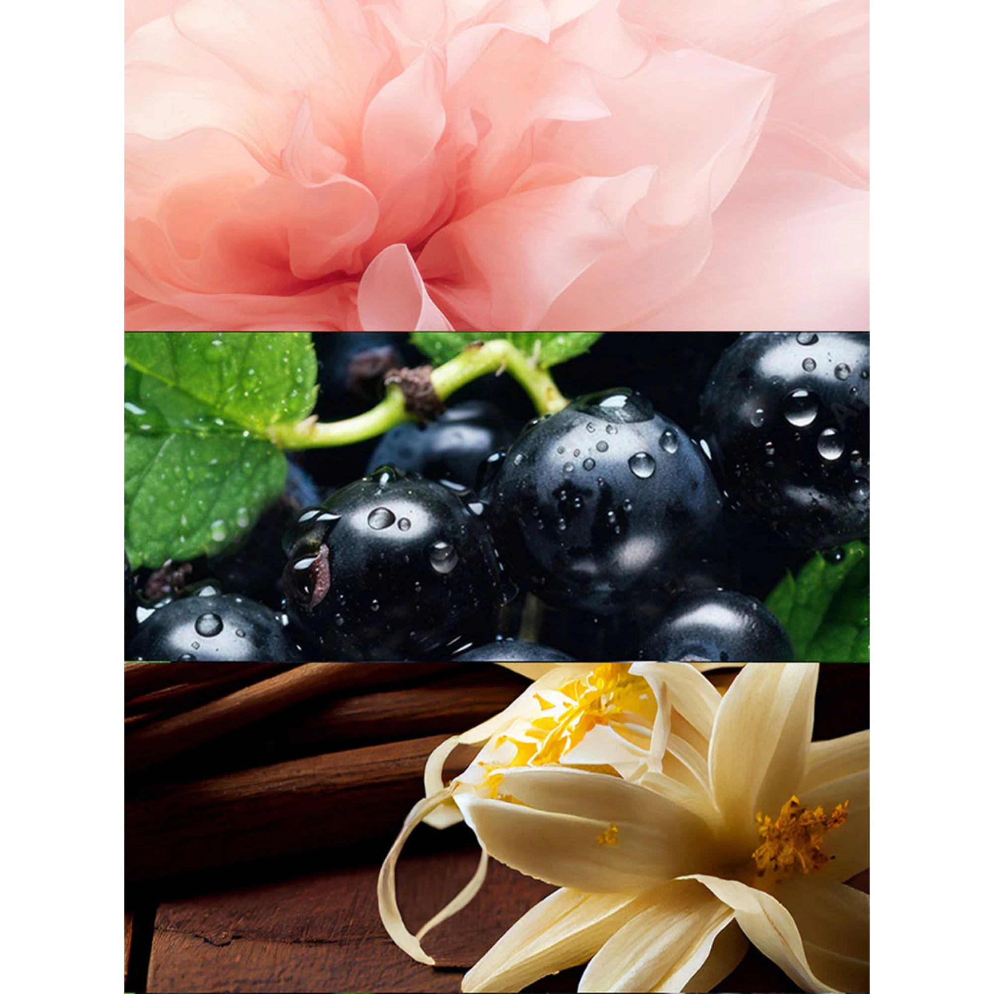 Inspired by Giorgio Armani's SI Rose Signature
