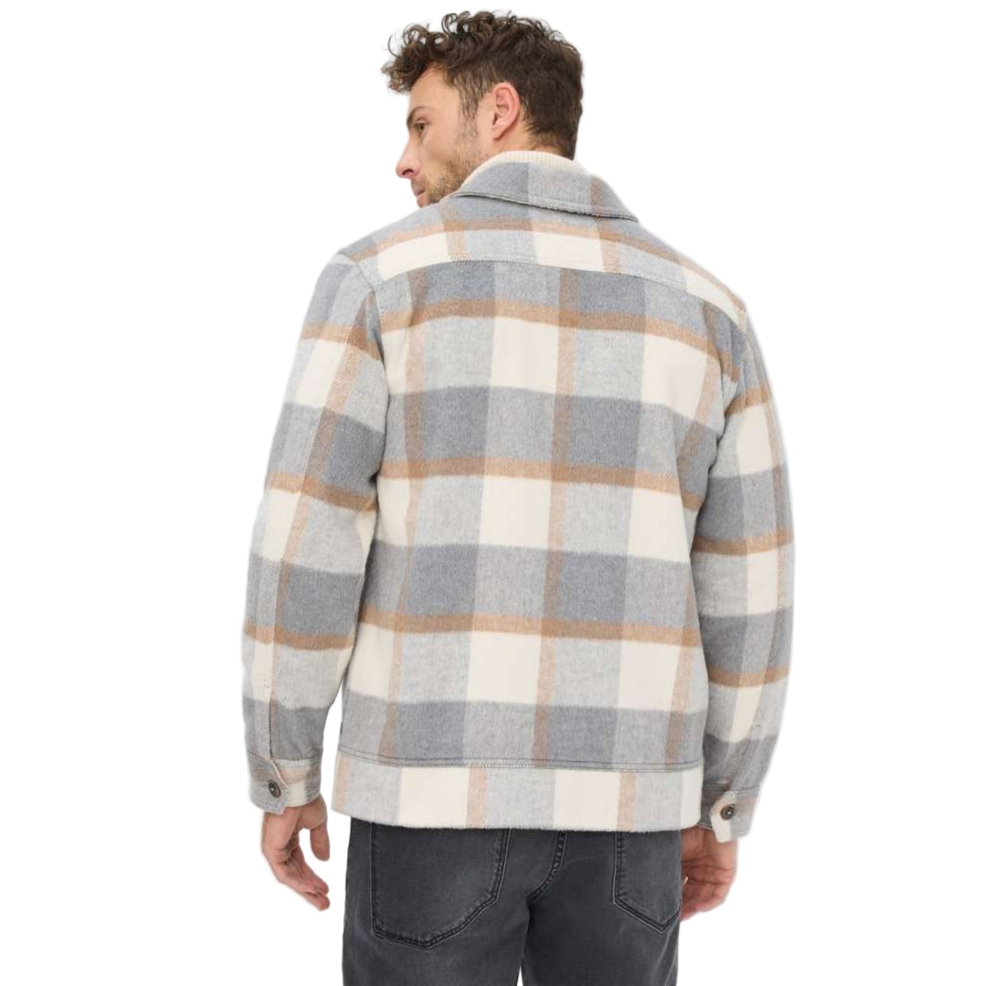 Man wearing a plaid shirt with a neutral color scheme on a white background