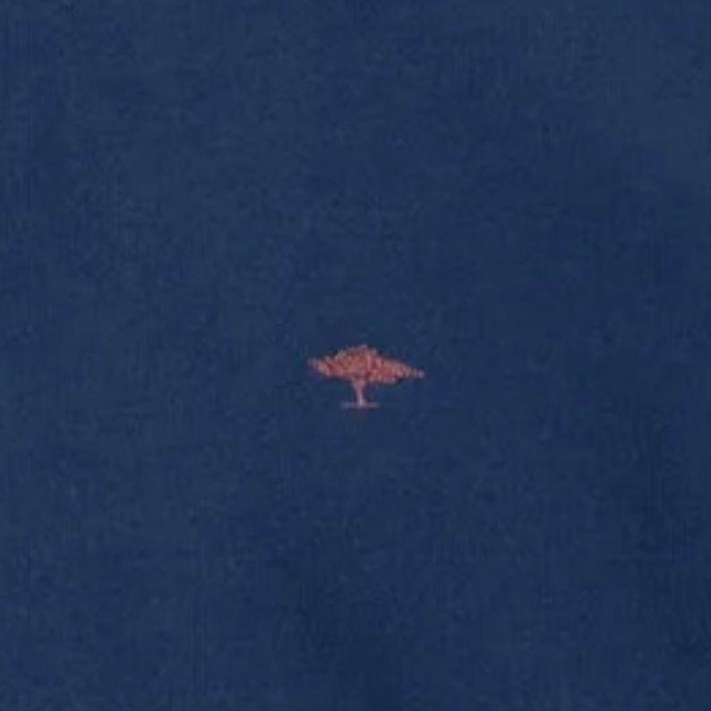 Fynch-Hatton Cotton Sweat Zip Jacket Cardigan - Navy