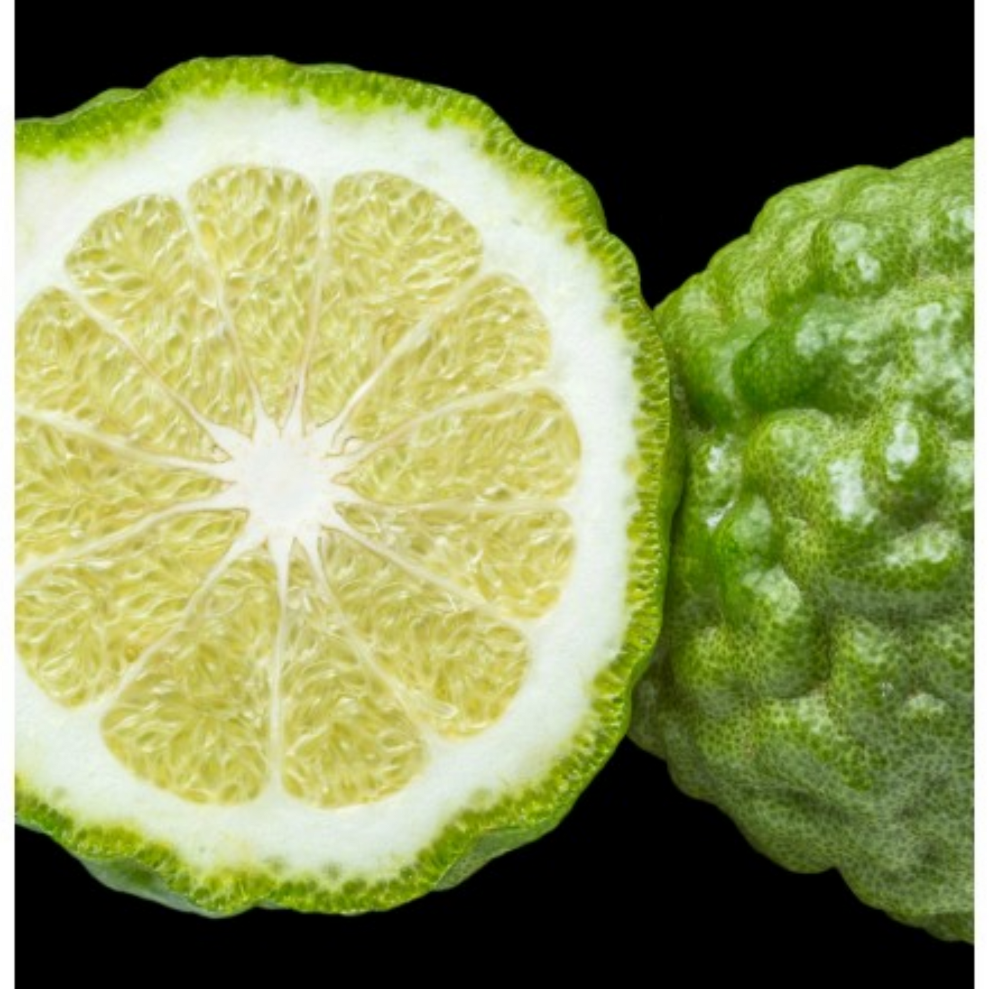 YODEYMA LINET EAU DE PARFUM 15ML - DELINA DE MARLY Alternative