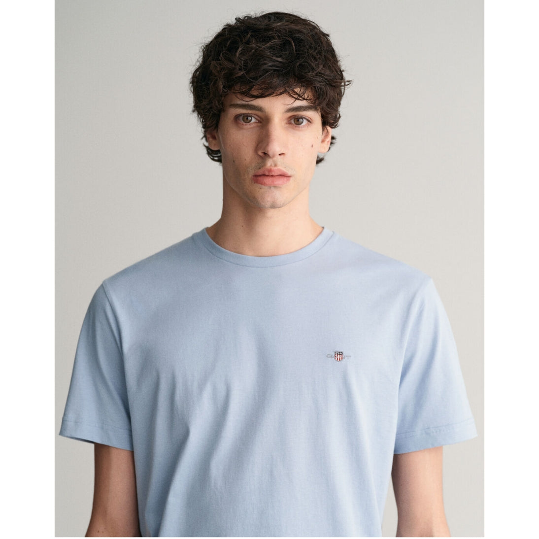 GANT Pure Cotton Regular Fit Shield T-Shirt in Dove Blue 2003184