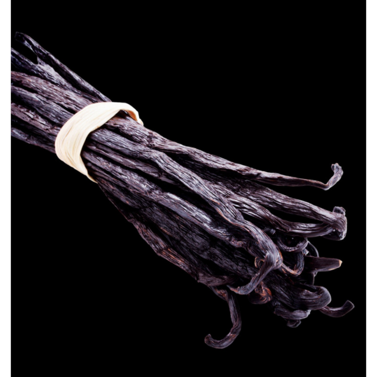 YODEYMA INSTINT EAU DE PARFUM 15ML - JEAN PAUL GAULTIER LE MALE ALTERNATIVE