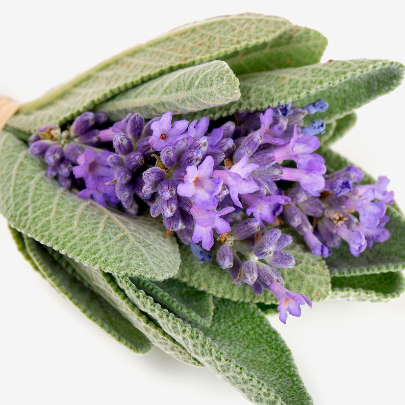 YODEYMA RESOLU EAU DE PARFUM 15ML - Yves Saint Laurent Y ALTERNATIVE