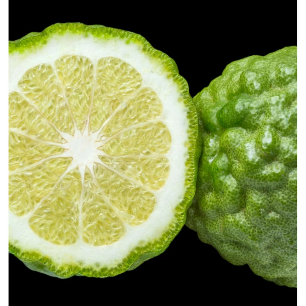 Coco chanel top mademoiselle yodeyma