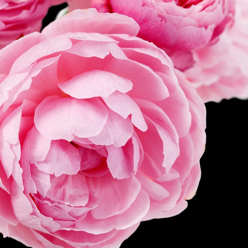 YODEYMA PRIME EAU DE PARFUM 50ML - LANCOME IDOLE ALTERNATIVE